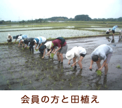 会員の方と田植え